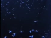 480x360