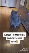 544x960