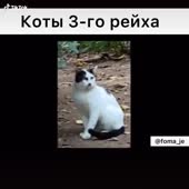 576x576