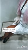 544x960