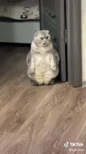 540x960