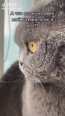 540x960