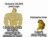 632x482