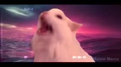 640x360