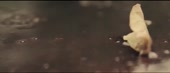640x278