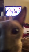 360x640
