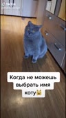 544x960