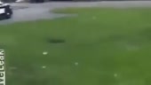 400x226