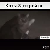 576x576
