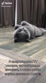 540x960