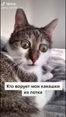 544x960