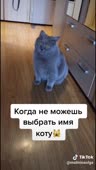 544x960