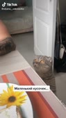 540x960