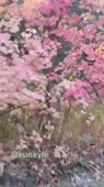 406x720