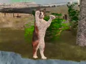 480x360