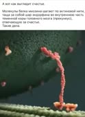 540x740