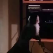 360x360