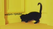 1280x720