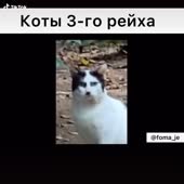 576x576