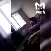 360x360