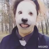 360x360