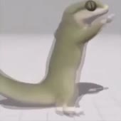 360x360