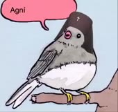 376x360