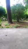 206x360