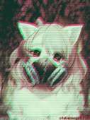 384x512