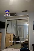 608x900