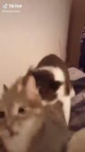 360x640