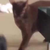 360x360