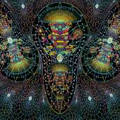 1000x1000
