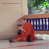 720x720