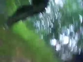 480x360