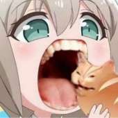 703x703