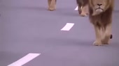 400x224
