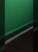 270x360
