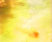 440x360