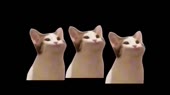 640x360