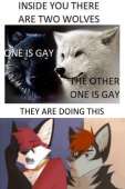 500x747