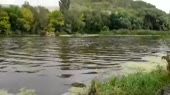 460x258