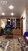 406x720