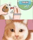 632x768