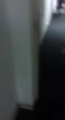 262x480