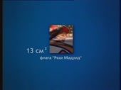 384x288