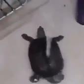 360x360