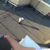 360x360