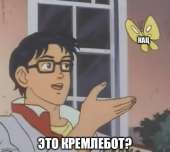 556x500