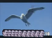 490x360